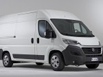 Fiat Ducato:  ,  